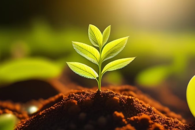 Biometano: Energia Limpa e Sustentável